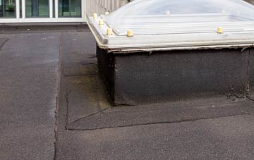 disadvantages of Rhydymain flat roofs
