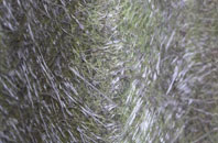 Rhydymain fibreglass roof work